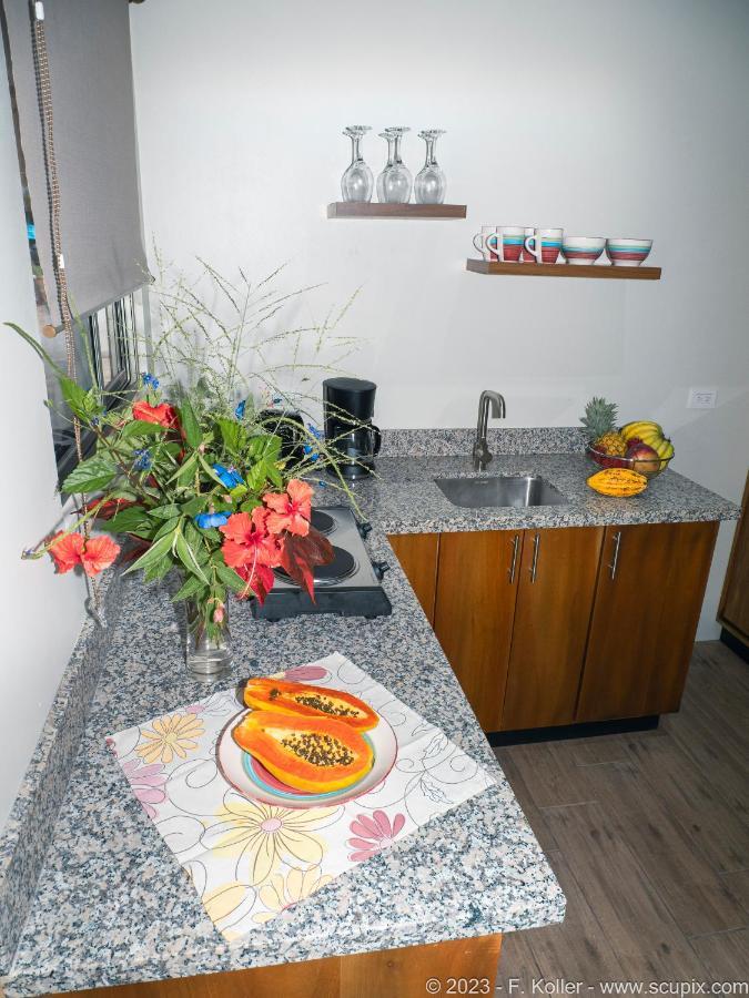 Luxury Apartments Nauyaca By Paradiselodge Platanillo Bagian luar foto